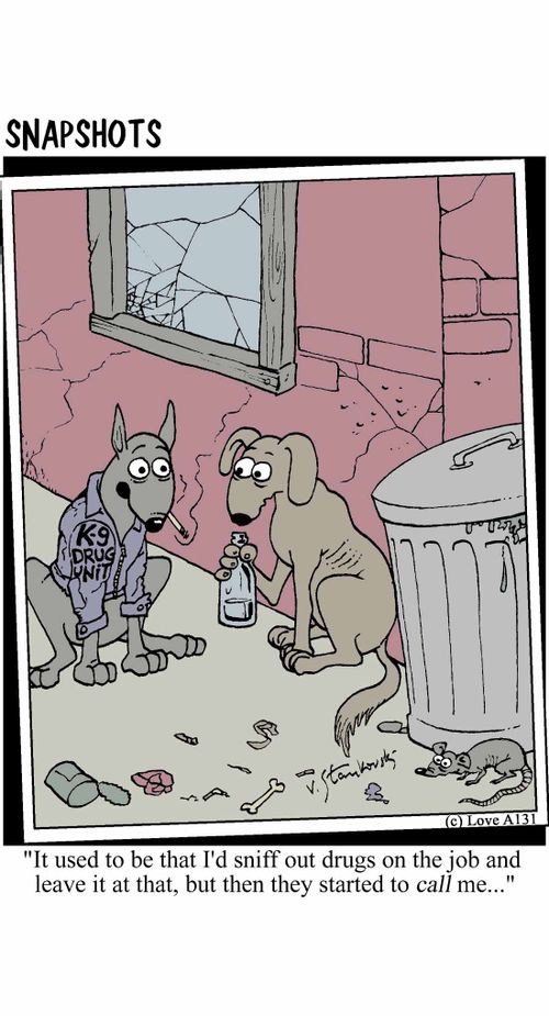 'It used to be that I'd sniff out drugs on the job and leave it at that, but then they started to call me...'