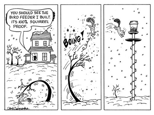 'You should see the bird feeder I built.  It's 100% squirrel proof.'