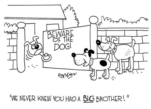 'We never knew you had a BIG brother!'