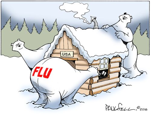 Flu outbreak in the United States.