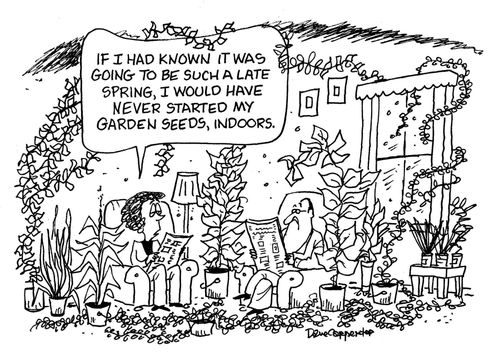 'If I had known it was going to be such a late Spring, i would have never started my garden seeds, indoors.'
