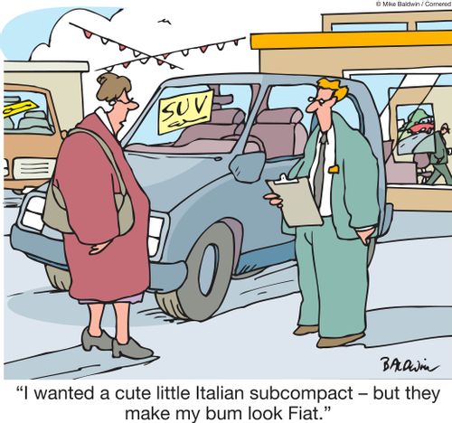 "I wanted a cute little Italian subcompact. Even took one out for a test drive - but it made my bum look Fiat."