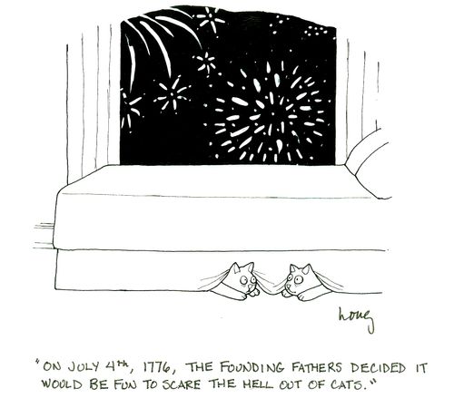 'On July 4th, 1776, the founding fathers decided it would be fun to scare the hell out of cats.'
