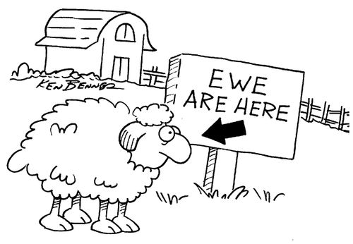 Ewe are here.
