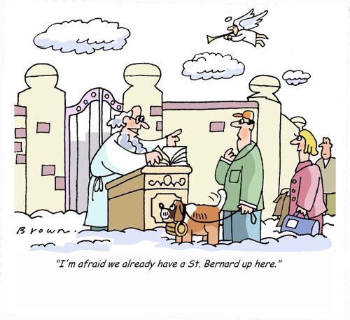 'I'm afraid we already have a St. Bernard up here.'
