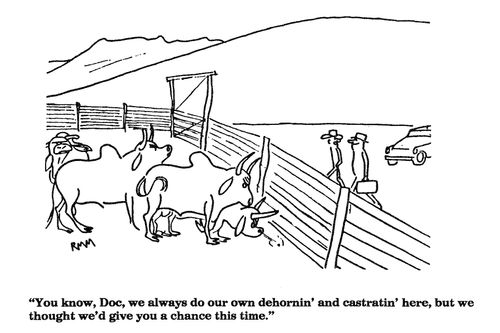 'You know, Doc, we always do our own dehornin' and castratin' here, but we thought we'd give you a chance this time.'