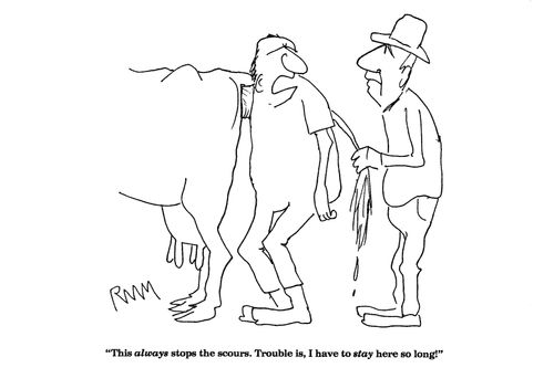 'This always stops the scours...