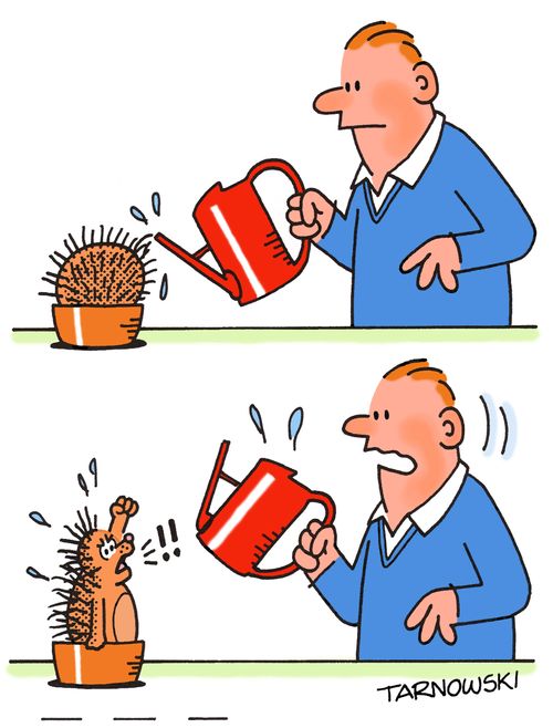 Cactus turns out to be a hedgehog.