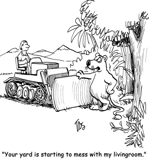 'Your yard is starting to mess with my livingroom.'