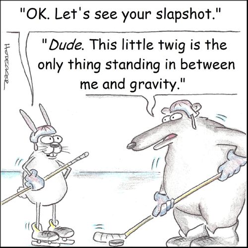 'OK. Let's see your slapshot.'