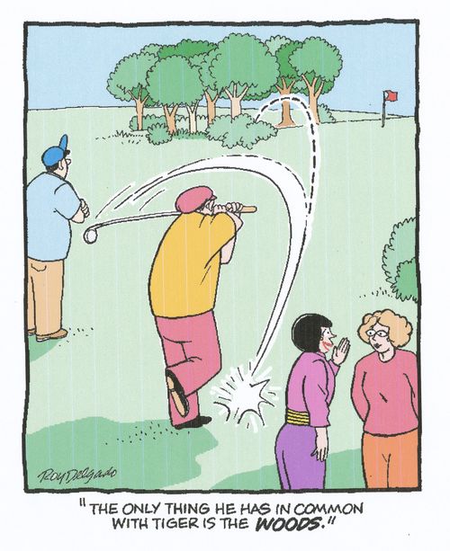 'The only thing he has in common with Tiger is the woods.'