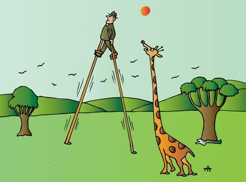Man and giraffe