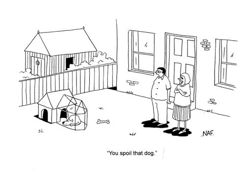 'You spoil that dog.'