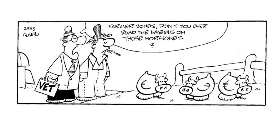 'Farmer Jones, dont you ever read the labels on those hormones?'
