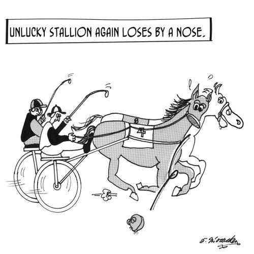 Unlucky Stallion Again Loses by a Nose
