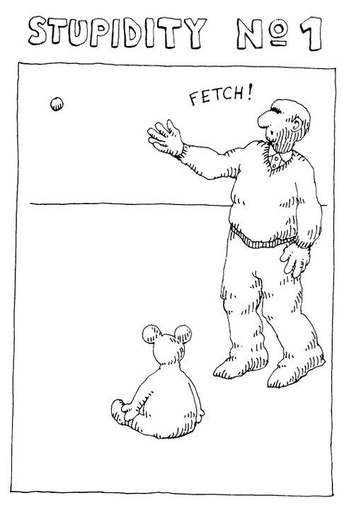 Stupidity  - Getting a Teddy to fetch
