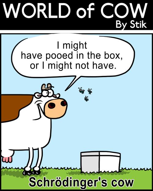 Schrodinger's Cow