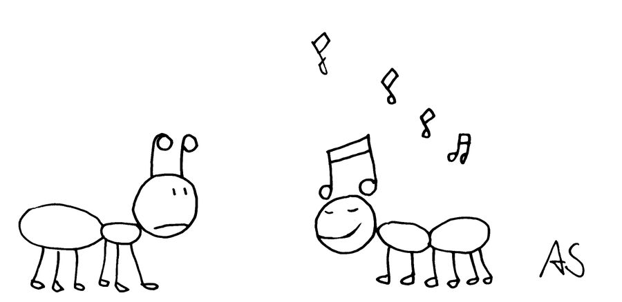 'Ants'