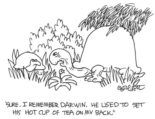tortoise:  'I remember Darwin...set hot tea on my back.'