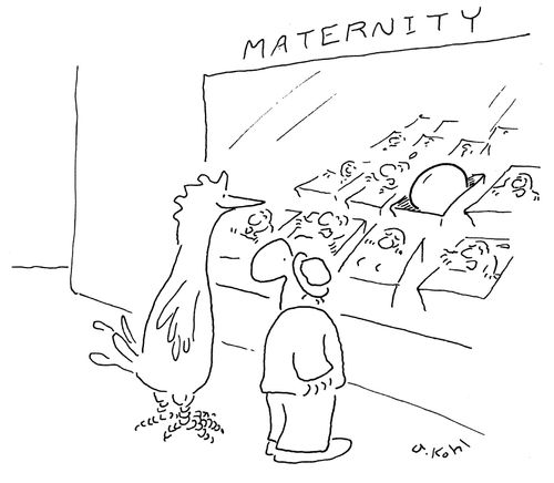 Egg in Maternity Ward.