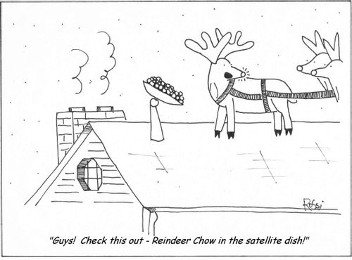 'Guys! Check this out - Reindeer Chow in the satellite dish!'