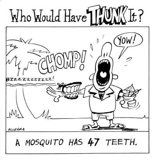 A Mosquito has 47 teeth.