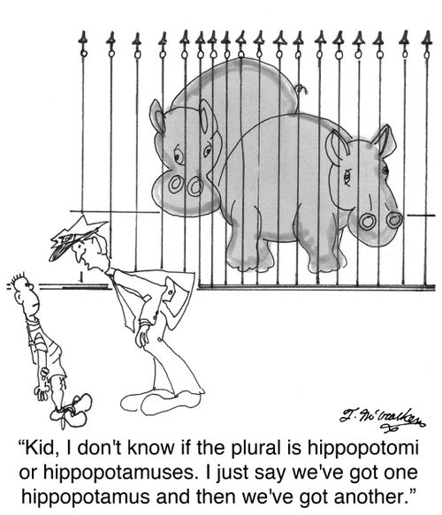 'Kid, I don't know if the plural is hippopotomi or hippopotamuses. I just say we've got one hippopotamus and then we've got another.'