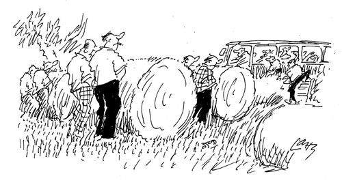 Countryside Toilet Break