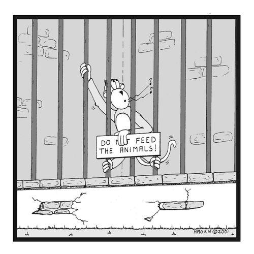 Monkey covering part of a 'Do not feed the animals' sign.