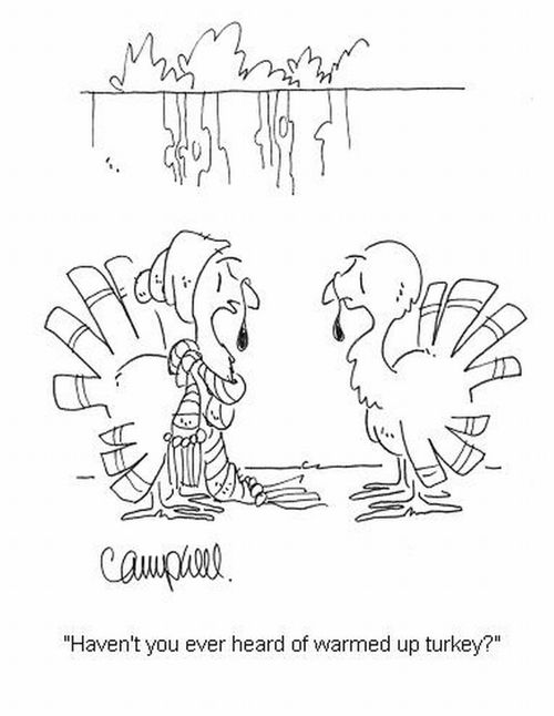 'Haven't you ever heard of warmed up turkey?'