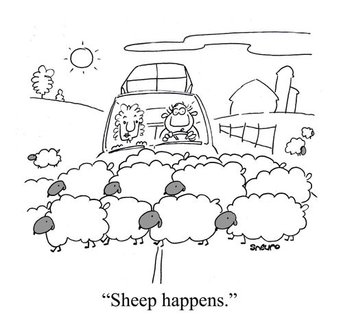 'Sheep happens.'