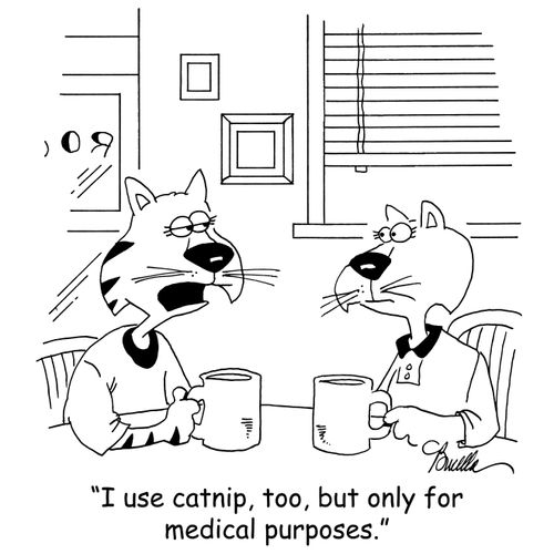 'I use catnip, too, but only for medical purposes.'