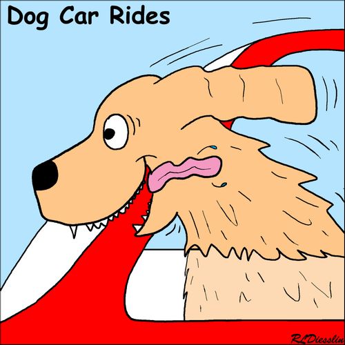Dog Car Rides