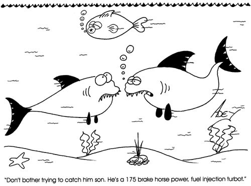 "Don't bother trying to catch him son.He's a 175 brake horse power....."