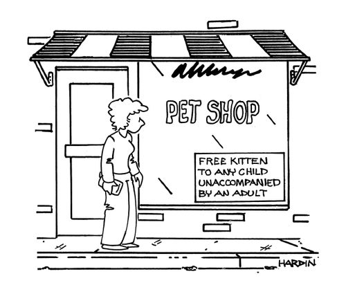 Free Kitten to any Child Unaccompanied by an Adult.