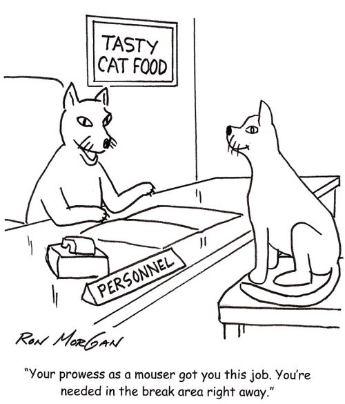 'Your prowess as a mouser got you this job. You're needed in the break area right away.'