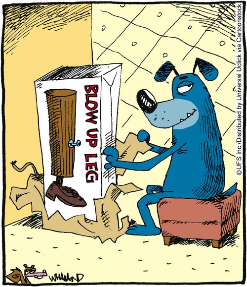 Dog with blow-up leg.