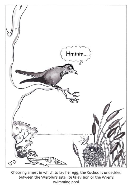 Choosing a nest in which to lay her egg, the cuckoo is undecided between the warbler's satellite television or the wren's swimming pool.