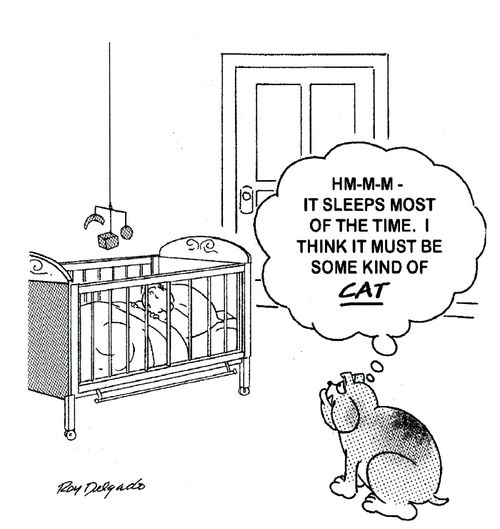 'Hm-m-m - it sleeps most of the time. I think it must be some kind of cat.'