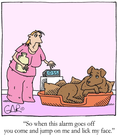 'So when this alarm goes off you come and jump on me and lick my face.'