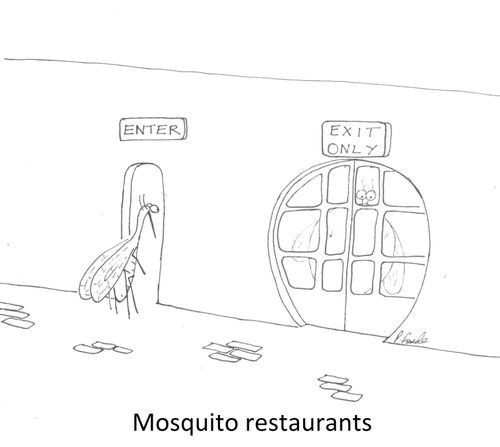 Mosquito restaurants