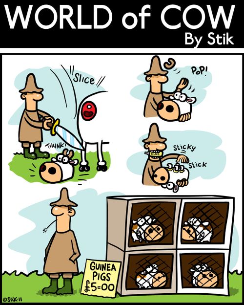 How Guinea Pigs are made.