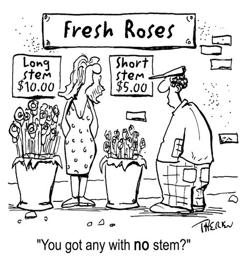 Buying roses - 'You got any with no stem?'