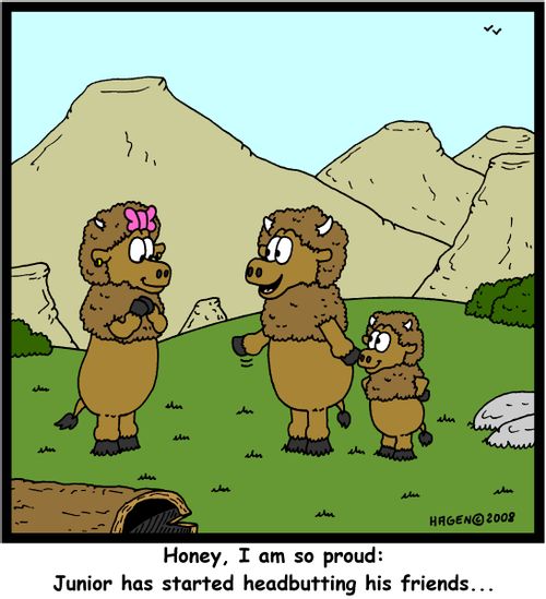 'Honey, I am so proud: Junior has started headbutting his friends...'