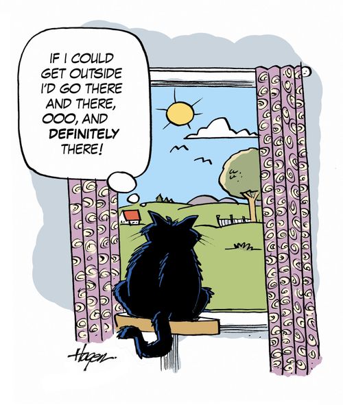 'If I could get outside I'd go there and there, ooo, and definitely there!'