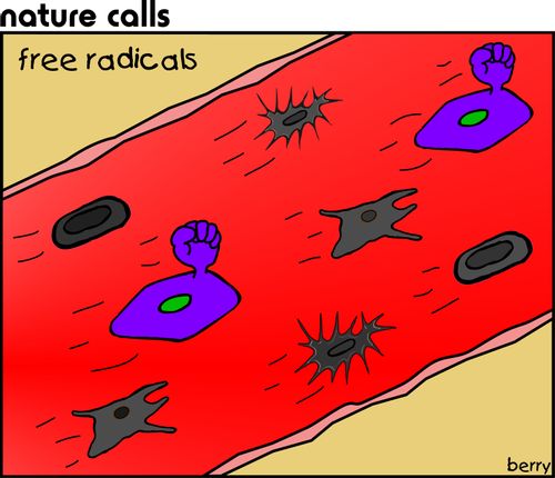 Free radicals.