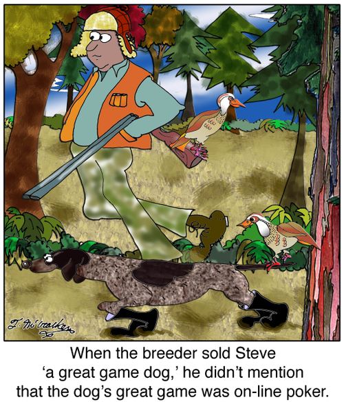 When the breeder sold Steve ‘a great game dog,' he didn't mention that the dog's great game was on-line poker.