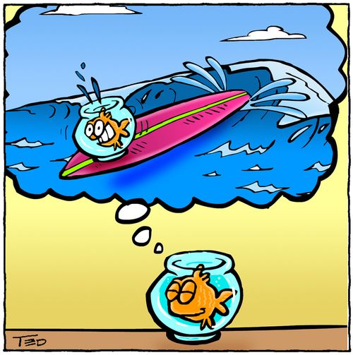 Surfing Goldfish