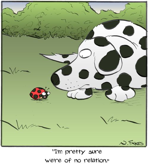 "I'm pretty sure we're of no relation."