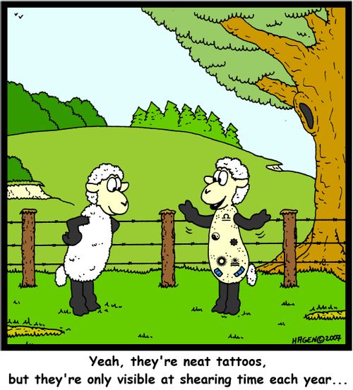 'Yeah, they're neat tattoos, but they're only visible at shearing time each year...'